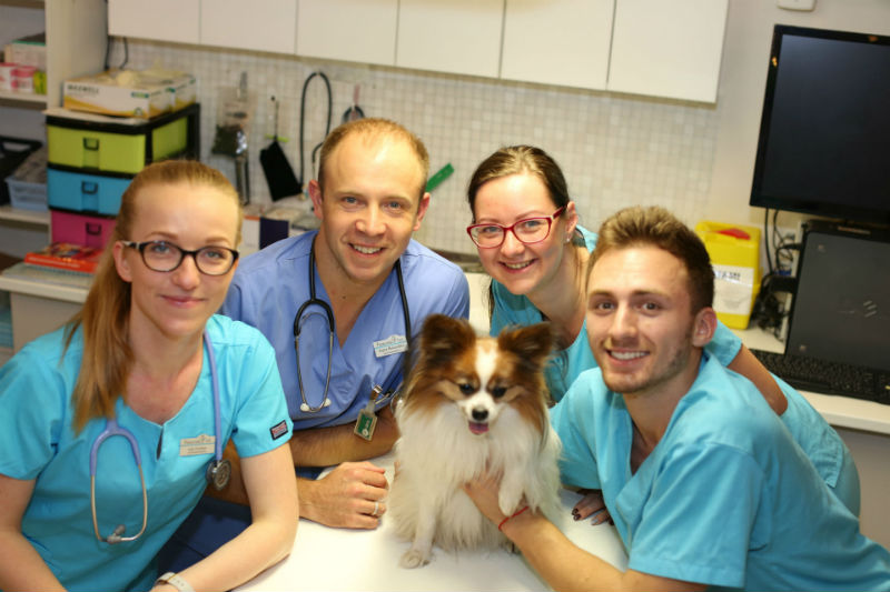veterinārā klīnika