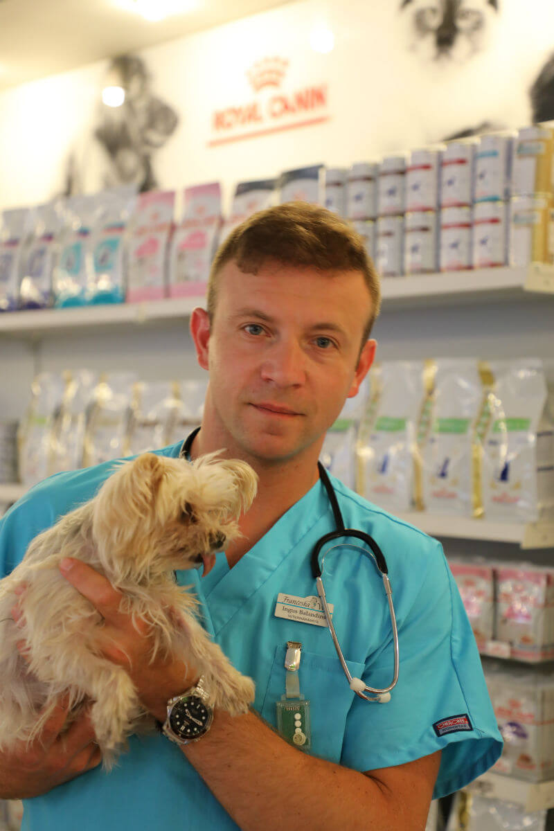 vetvet.lv